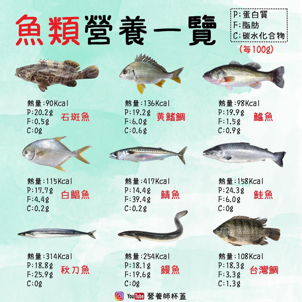 魚肉營養